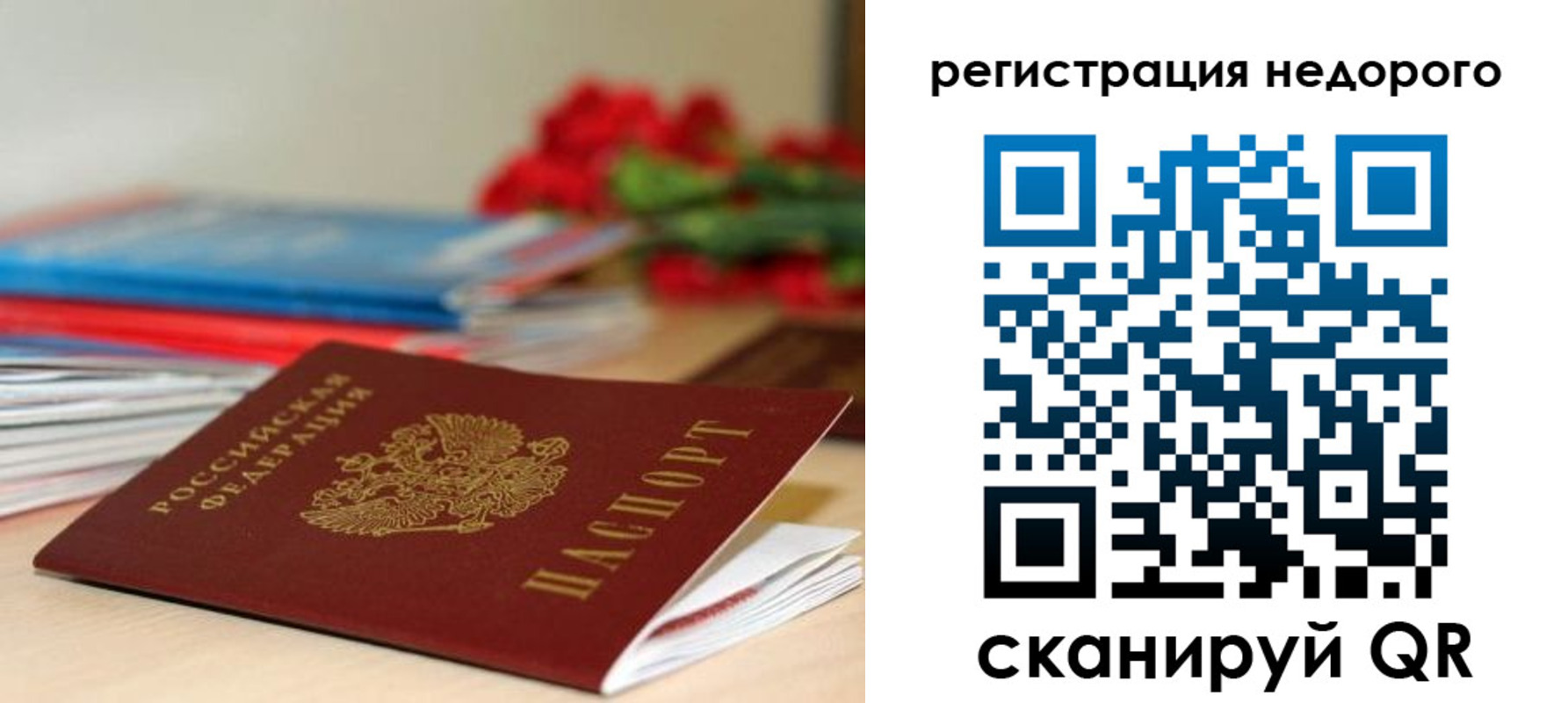 временная регистрация гарантия в Апатитах